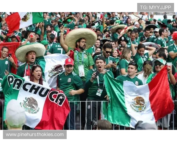 美加墨世界杯针对盲人球迷的实时解说设备